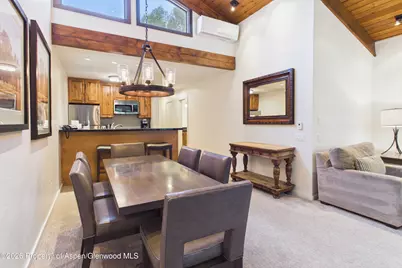 610 S West End Street #D304, Aspen, CO 81611 - Photo 3