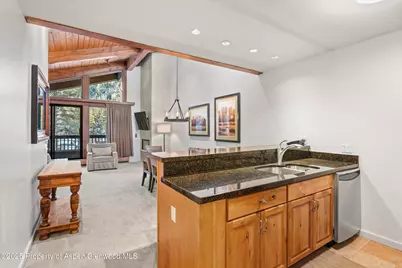 610 S West End Street #D304, Aspen, CO 81611 - Photo 5