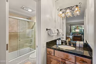 610 S West End St, Aspen, CO 81611 - Photo 19