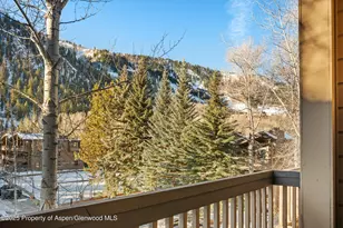 610 S West End St, Aspen, CO 81611 - Photo 11