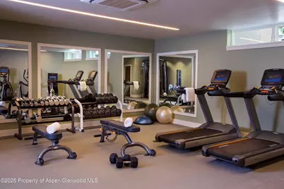 610 S West End Street #D304, Aspen, CO 81611 - Photo 15