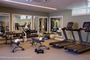 610 S West End St, Aspen, CO 81611 - Photo 15