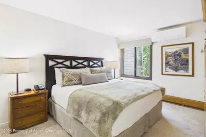 610 S West End Street #D304, Aspen, CO 81611 - Photo 7