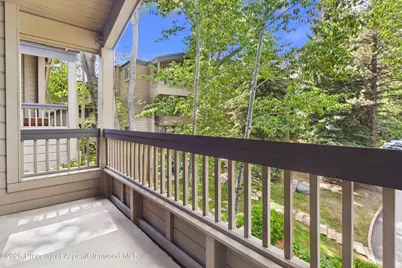 610 S West End Street #D304, Aspen, CO 81611 - Photo 11