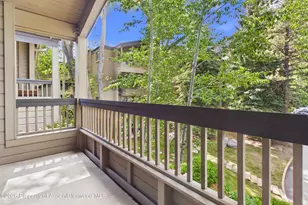 610 S West End St, Aspen, CO 81611 - Photo 11