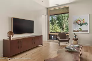 103 Willow Rd, Basalt, CO 81621 - Photo 19