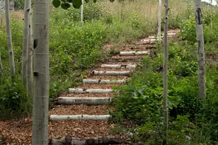 724 N Hayden Rd, Aspen, CO 81611 - Photo 35