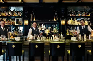 219 E Durant Ave, Aspen, CO 81611 - Photo 41