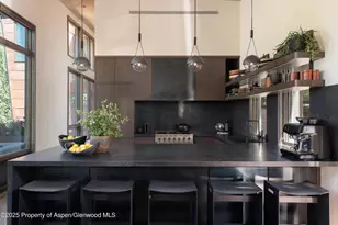 62 Bennett Ct, Aspen, CO 81611 - Photo 15