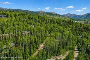 818 Faraway Rd, Snowmass Village, CO 81615 - Photo 9