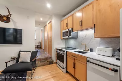 434 E Main Street #102, Aspen, CO 81611 - Photo 5