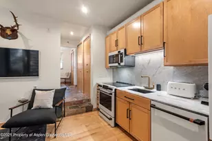 434 E Main St, Aspen, CO 81611 - Photo 5