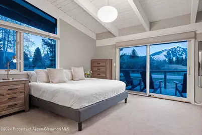 1650 Homestake Drive, Aspen, CO 81611 - Photo 11