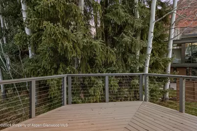 1650 Homestake Drive, Aspen, CO 81611 - Photo 25