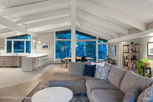 1650 Homestake Dr, Aspen, CO 81611 - Photo 5