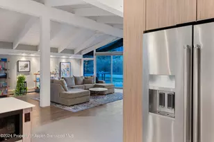 1650 Homestake Dr, Aspen, CO 81611 - Photo 9