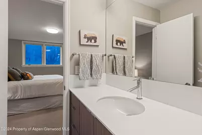 1650 Homestake Drive, Aspen, CO 81611 - Photo 21