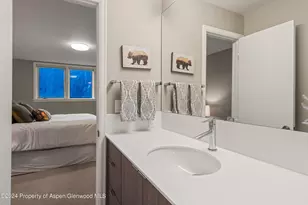 1650 Homestake Dr, Aspen, CO 81611 - Photo 21