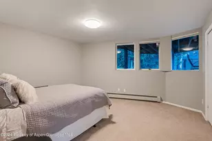 1650 Homestake Dr, Aspen, CO 81611 - Photo 23