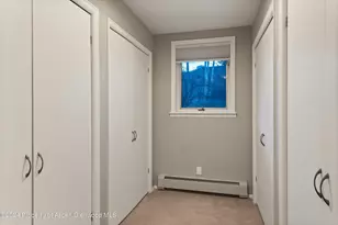 1650 Homestake Dr, Aspen, CO 81611 - Photo 19