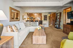 131 E Durant Ave, Aspen, CO 81611 - Photo 3