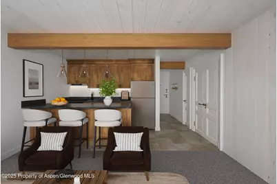 131 E Durant Avenue #202, Aspen, CO 81611 - Photo 15