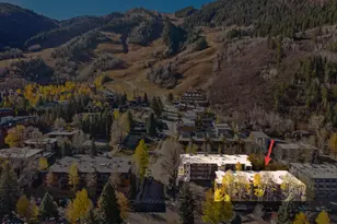 131 E Durant Ave, Aspen, CO 81611 - Photo 17