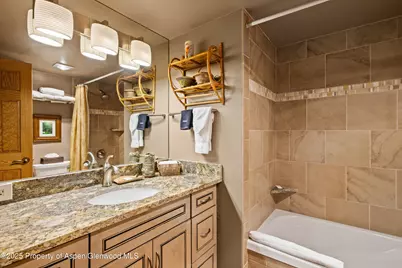 131 E Durant Avenue #202, Aspen, CO 81611 - Photo 11