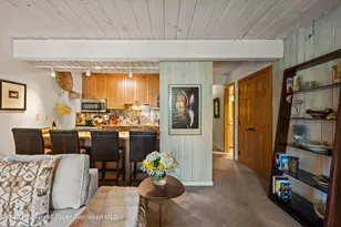 131 E Durant Ave, Aspen, CO 81611 - Photo 5