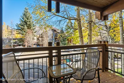 131 E Durant Avenue #202, Aspen, CO 81611 - Photo 7