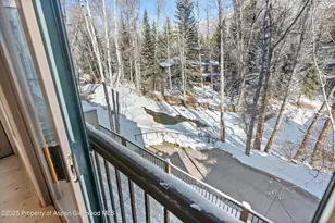 990 E Hopkins Ave, Aspen, CO 81611 - Photo 69