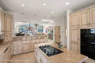 990 E Hopkins Ave, Aspen, CO 81611 - Photo 19