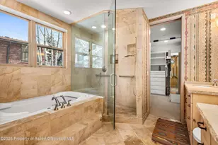 990 E Hopkins Ave, Aspen, CO 81611 - Photo 39