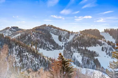 990 E Hopkins Avenue, Aspen, CO 81611 - Photo 1