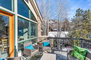 990 E Hopkins Ave, Aspen, CO 81611 - Photo 15