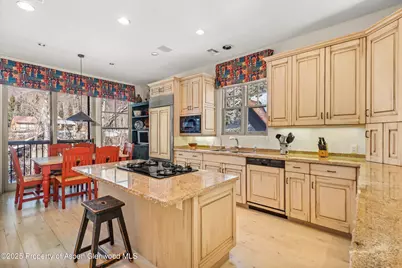 990 E Hopkins Avenue, Aspen, CO 81611 - Photo 11