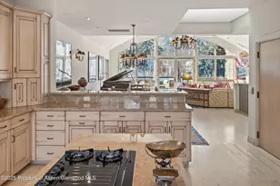 990 E Hopkins Ave, Aspen, CO 81611 - Photo 61