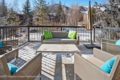 990 E Hopkins Avenue, Aspen, CO 81611 - Photo 41