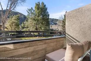 1024 E Cooper Ave, Aspen, CO 81611 - Photo 19