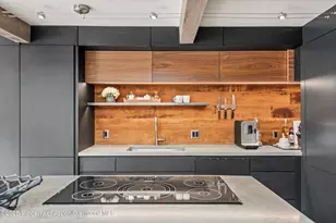 1024 E Cooper Ave, Aspen, CO 81611 - Photo 9