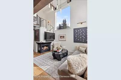 1024 E Cooper Avenue #1, Aspen, CO 81611 - Photo 3