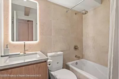 1024 E Cooper Avenue #1, Aspen, CO 81611 - Photo 21