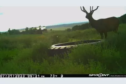 18946 County Road 57, Maybell, CO 81640 - Photo 115