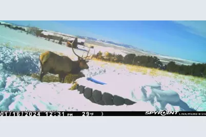 18946 County Road 57, Maybell, CO 81640 - Photo 117