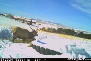 18946 Co Rd 57, Maybell, CO 81640 - Photo 117