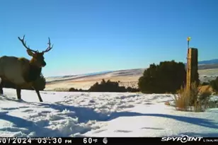 18946 Co Rd 57, Maybell, CO 81640 - Photo 121