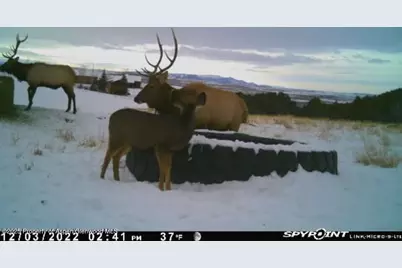 18946 County Road 57, Maybell, CO 81640 - Photo 113