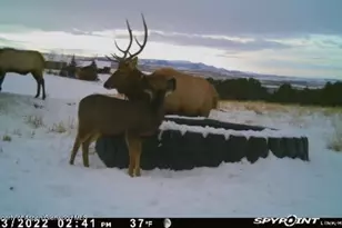 18946 Co Rd 57, Maybell, CO 81640 - Photo 113