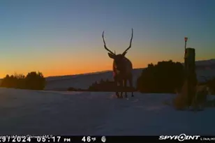 18946 Co Rd 57, Maybell, CO 81640 - Photo 119