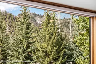 926 Waters Ave, Aspen, CO 81611 - Photo 11